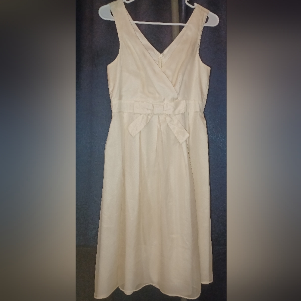 Cream Organza Cocktail Dress